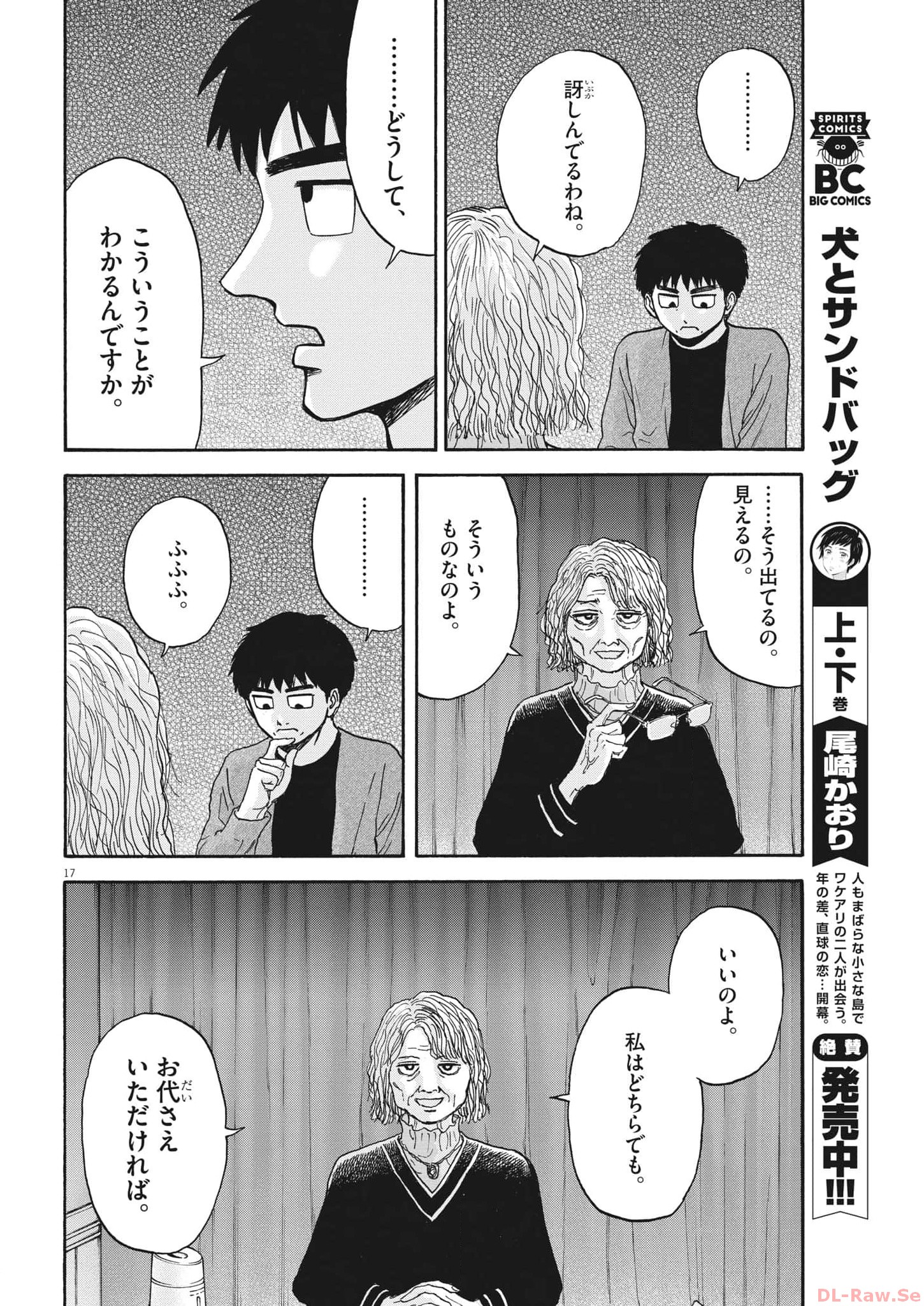 Page 17