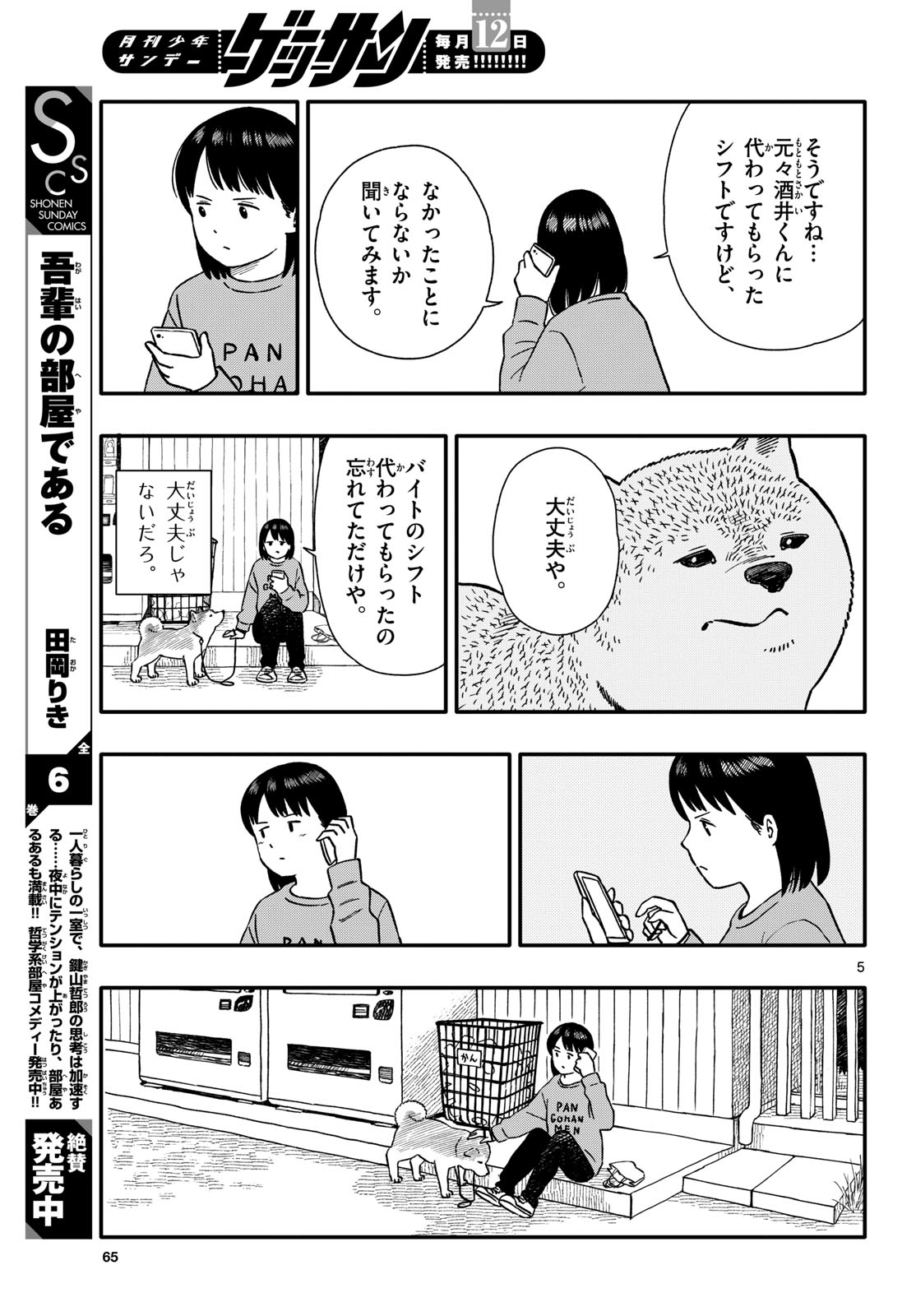 Page 5