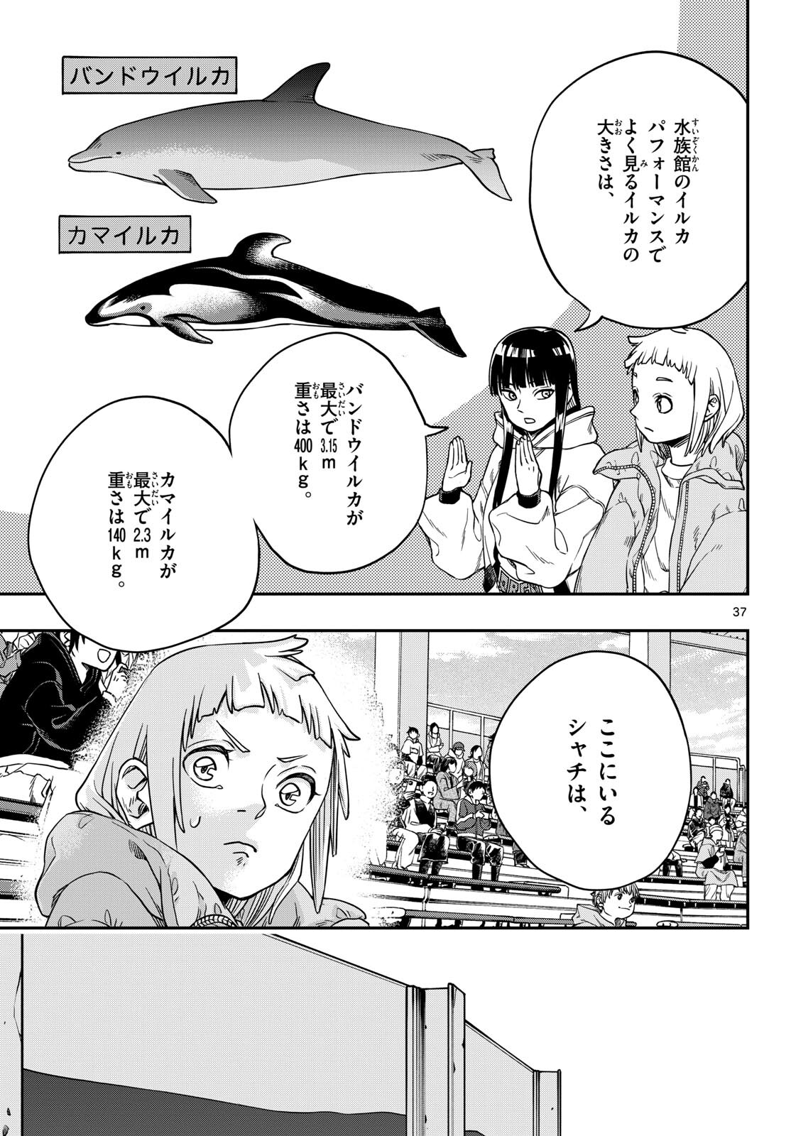 Page 37