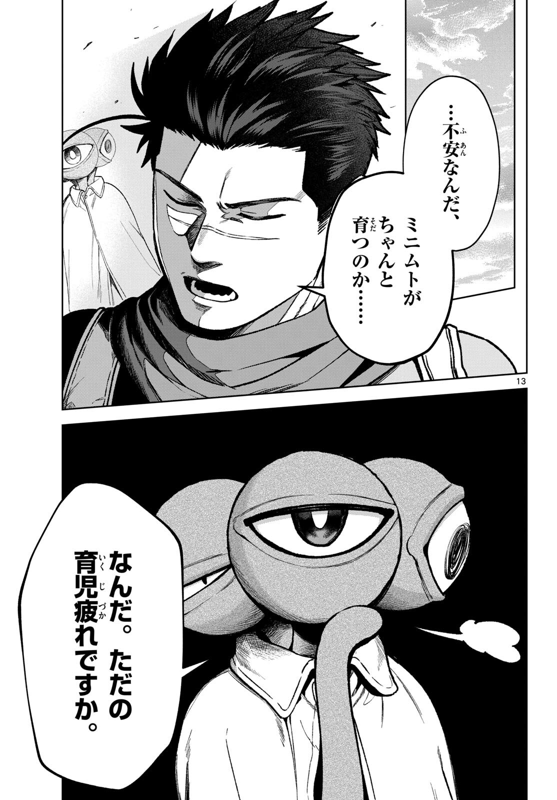Page 13