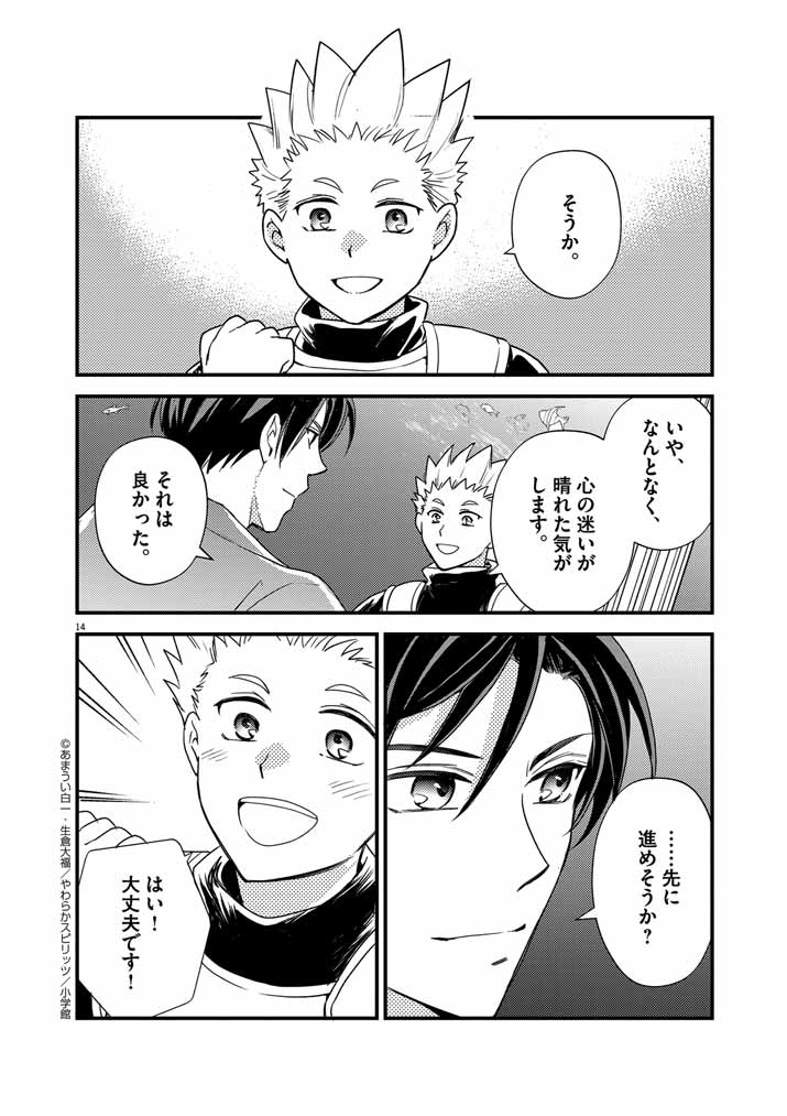 Page 14