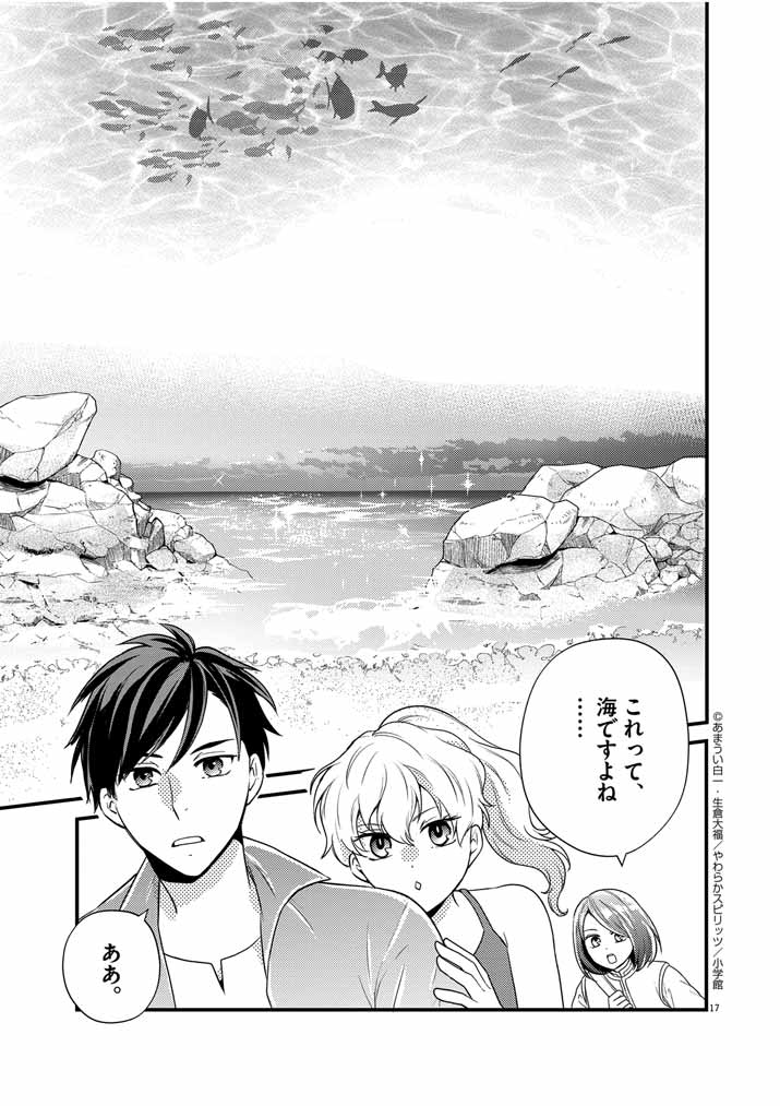 Page 17