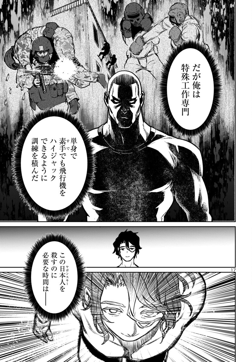 Page 17