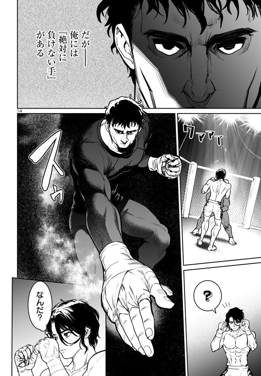 Page 14