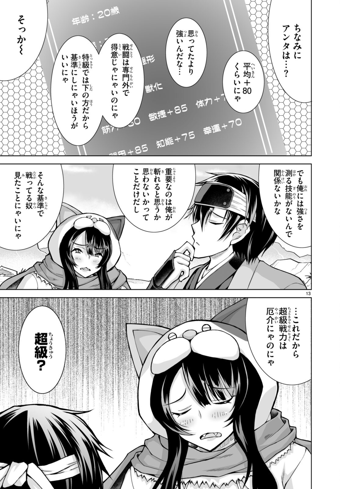 Page 13