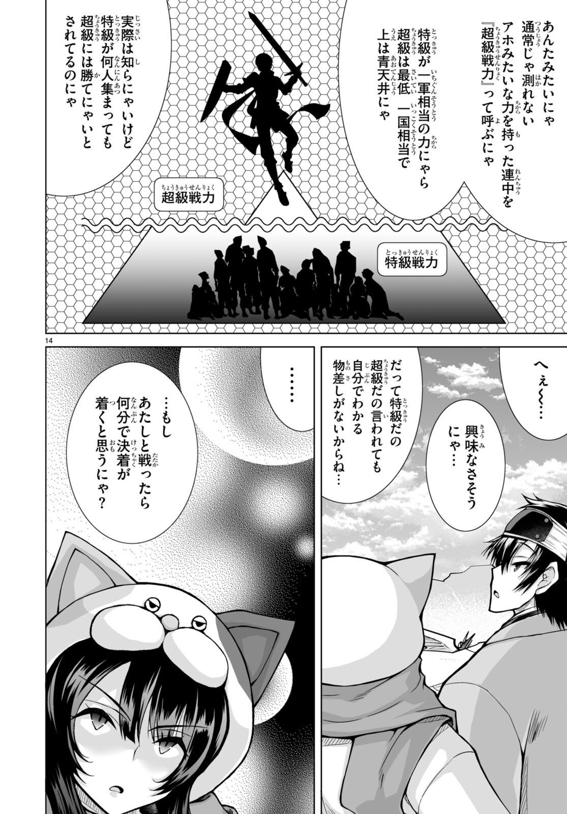 Page 14