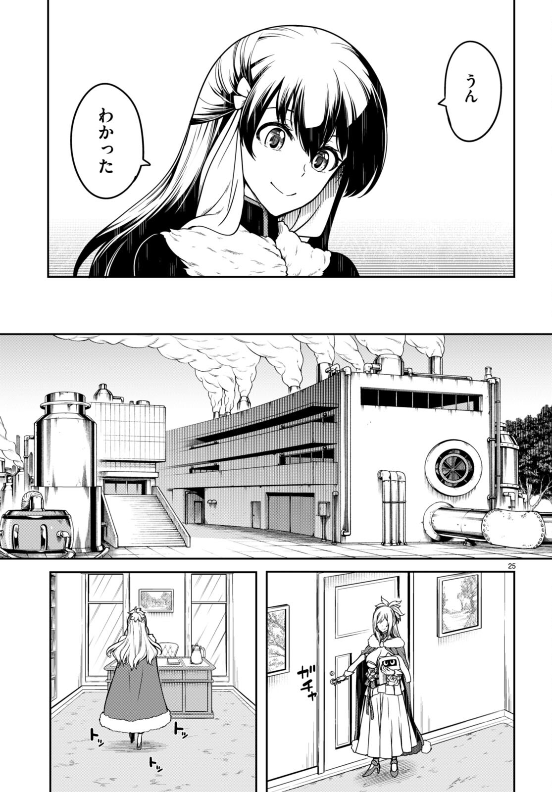 Page 25