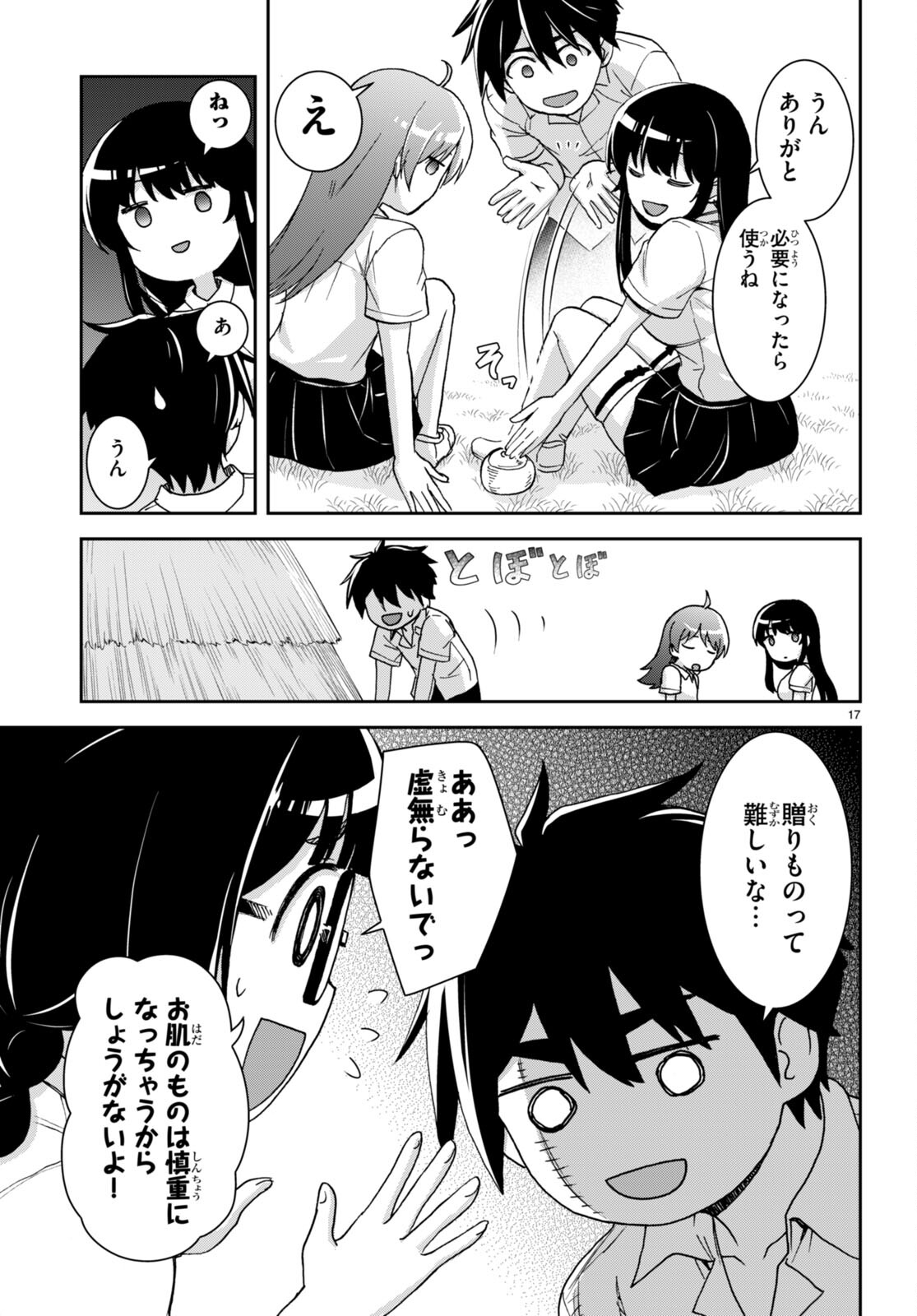 Page 17