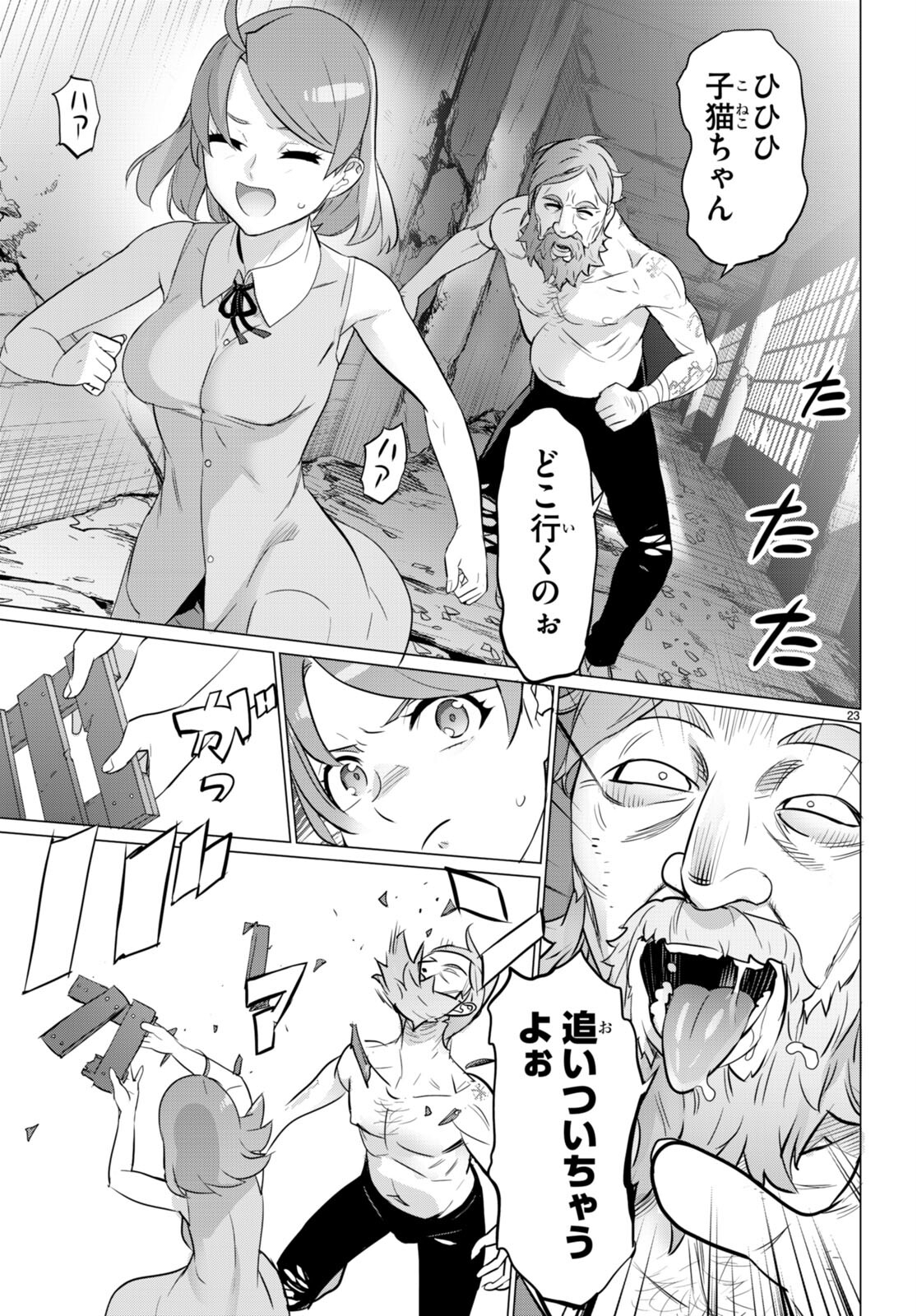 Page 23