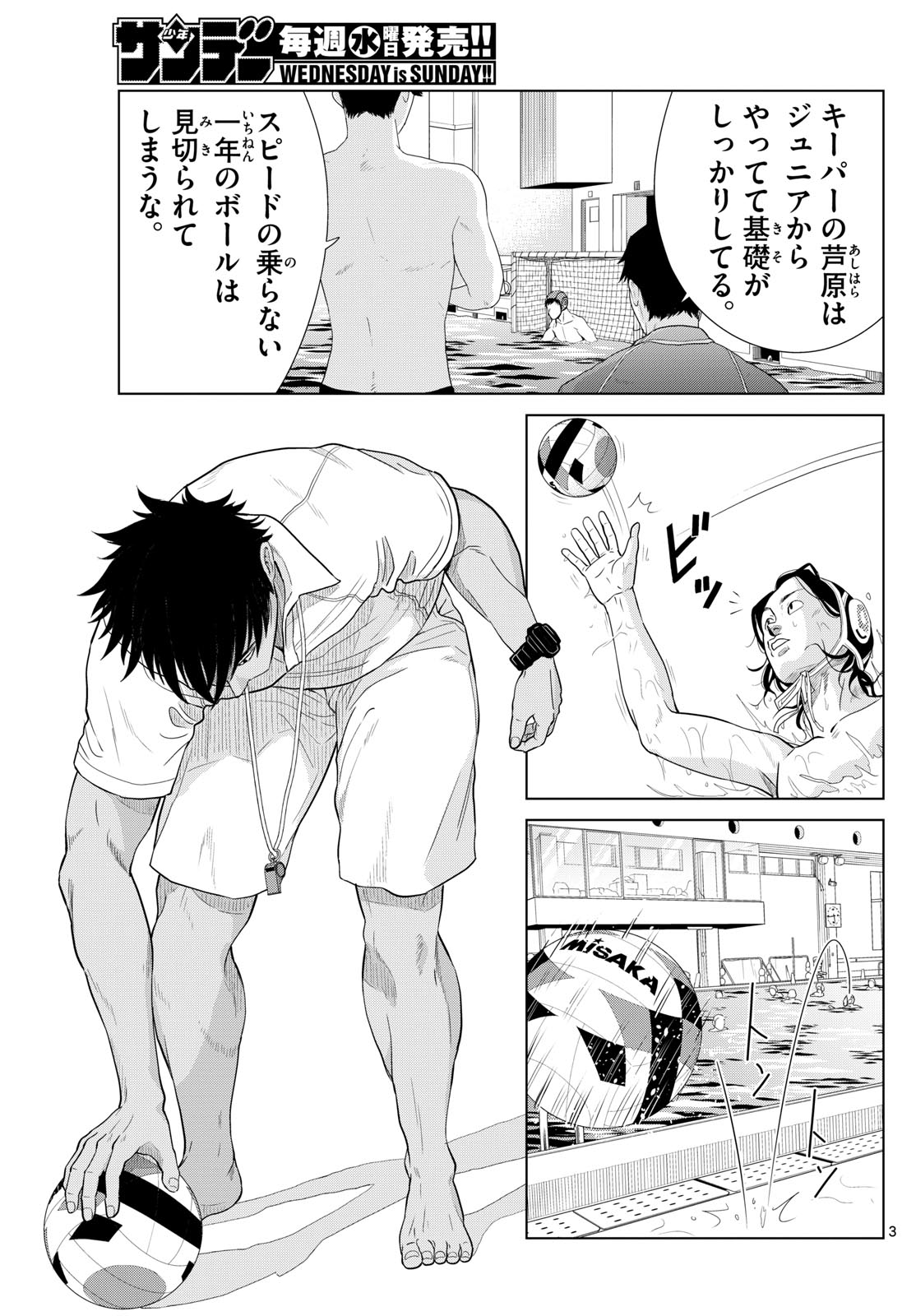 Page 3