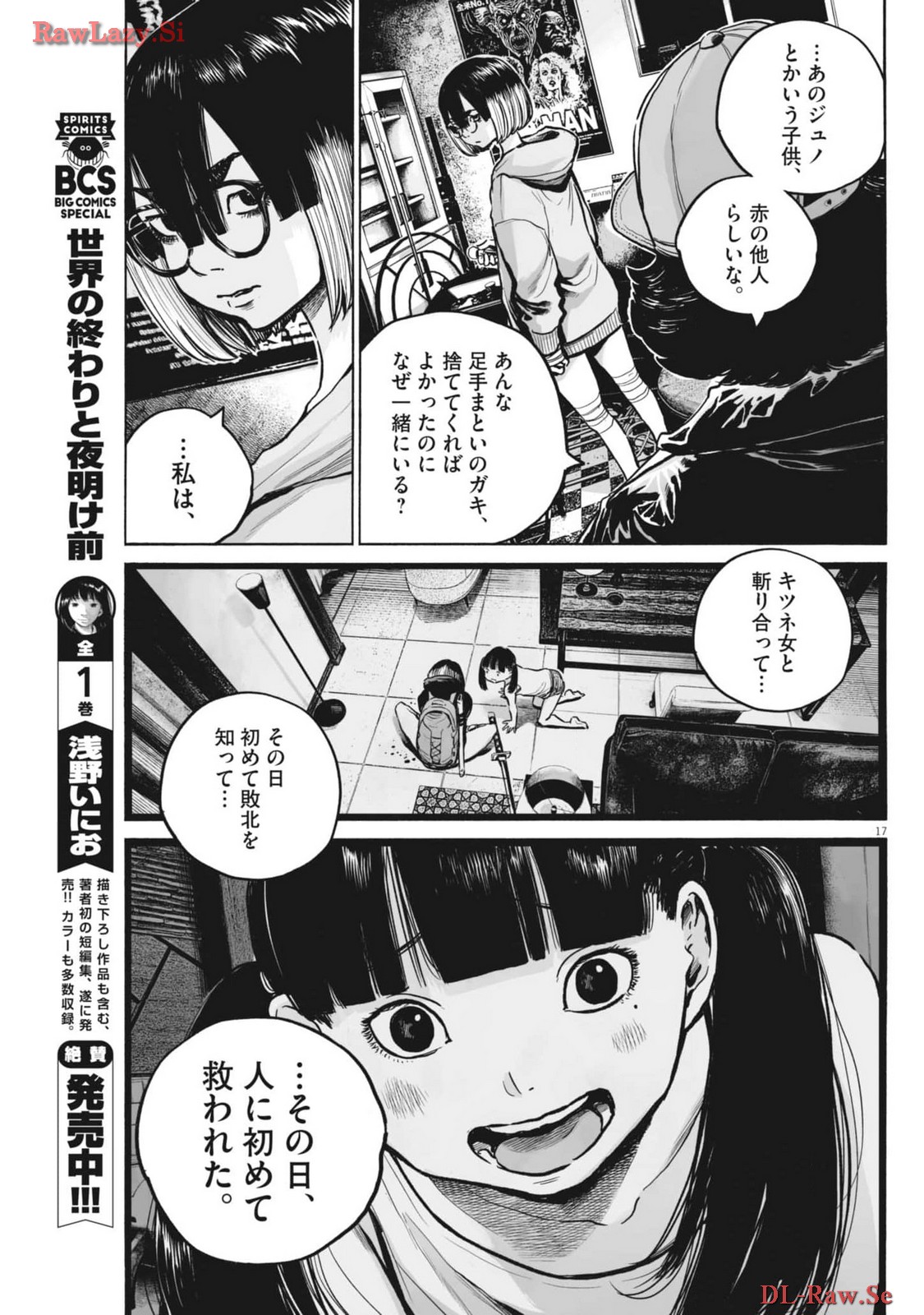 Page 17