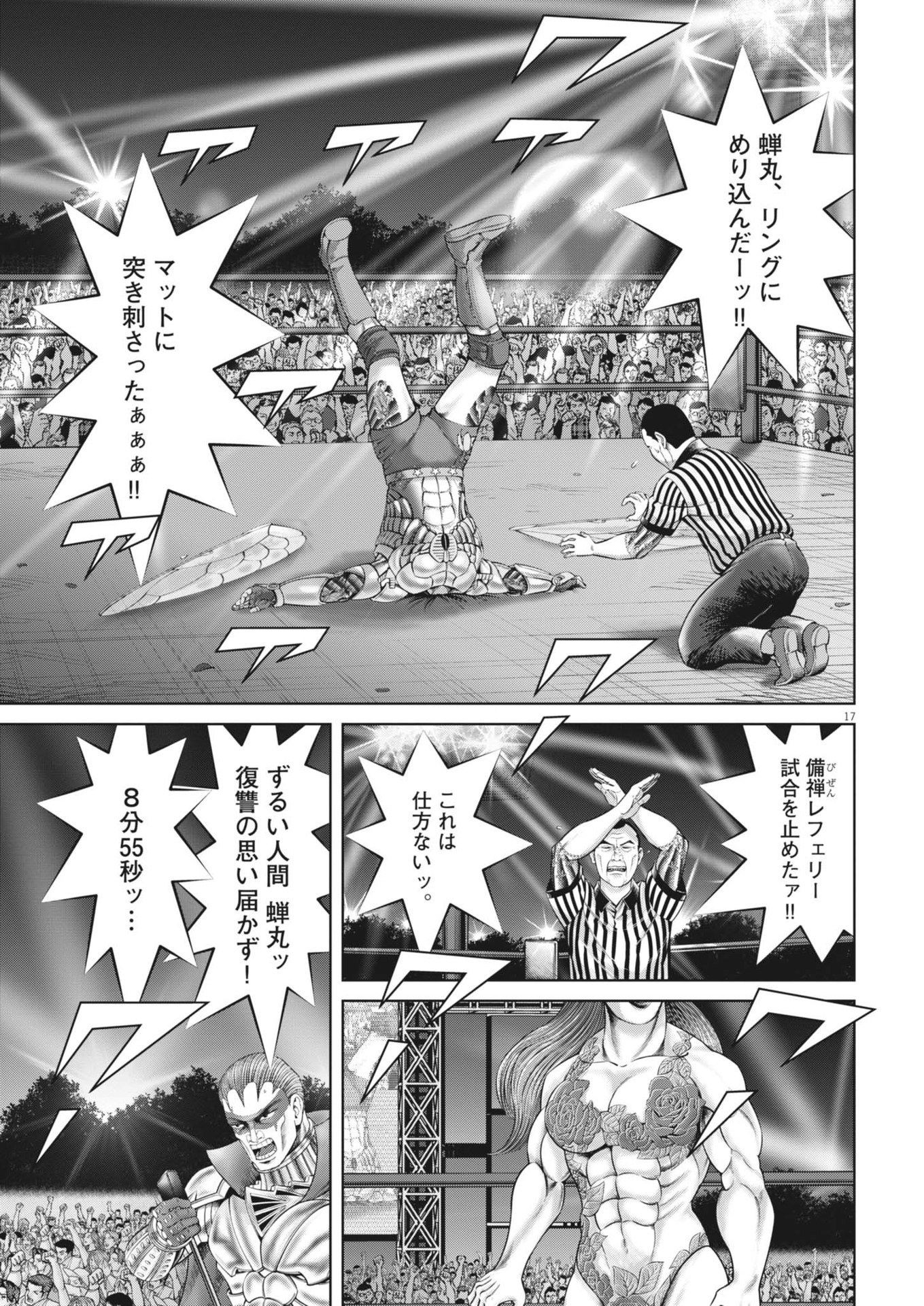 Page 17