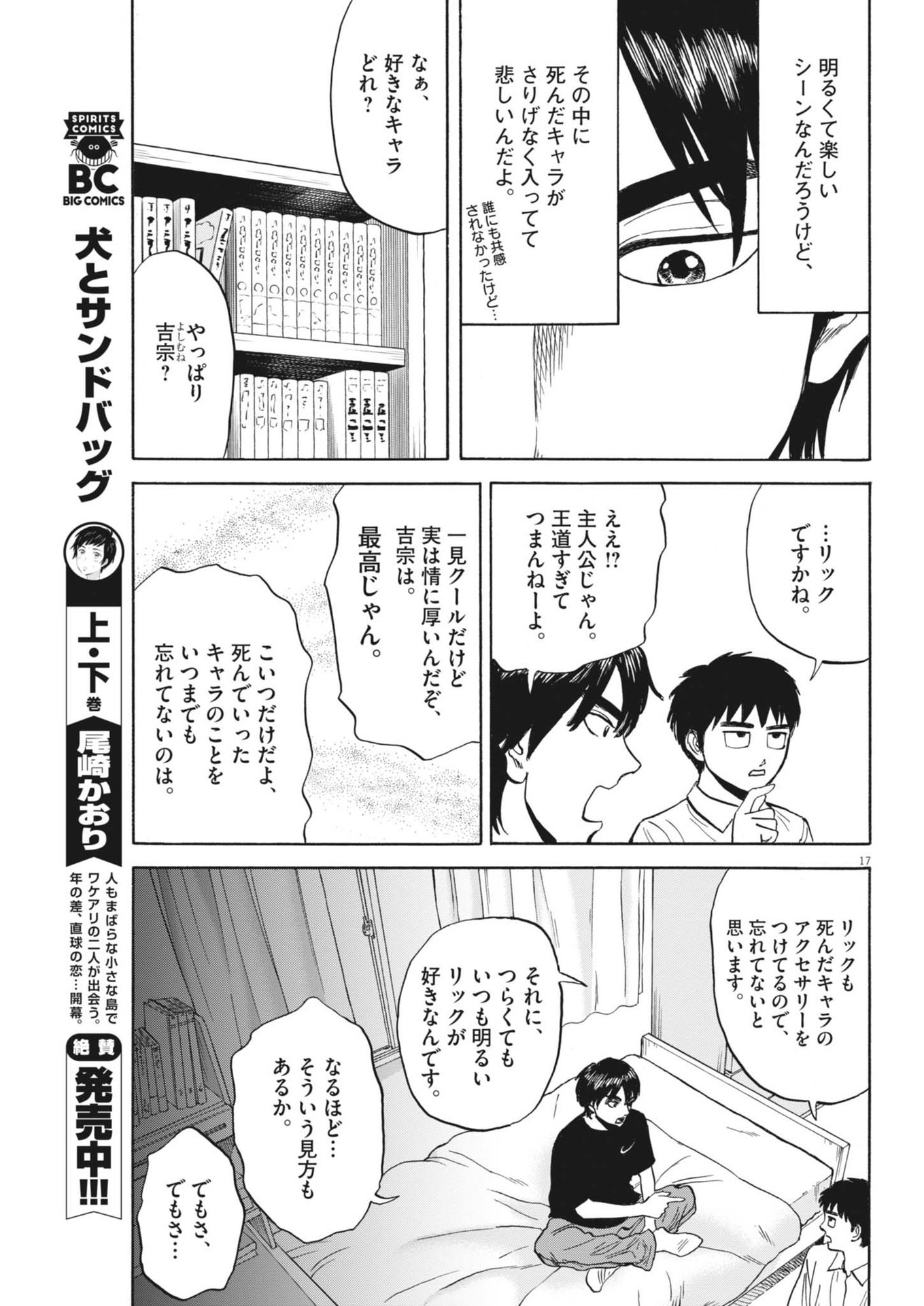 Page 17