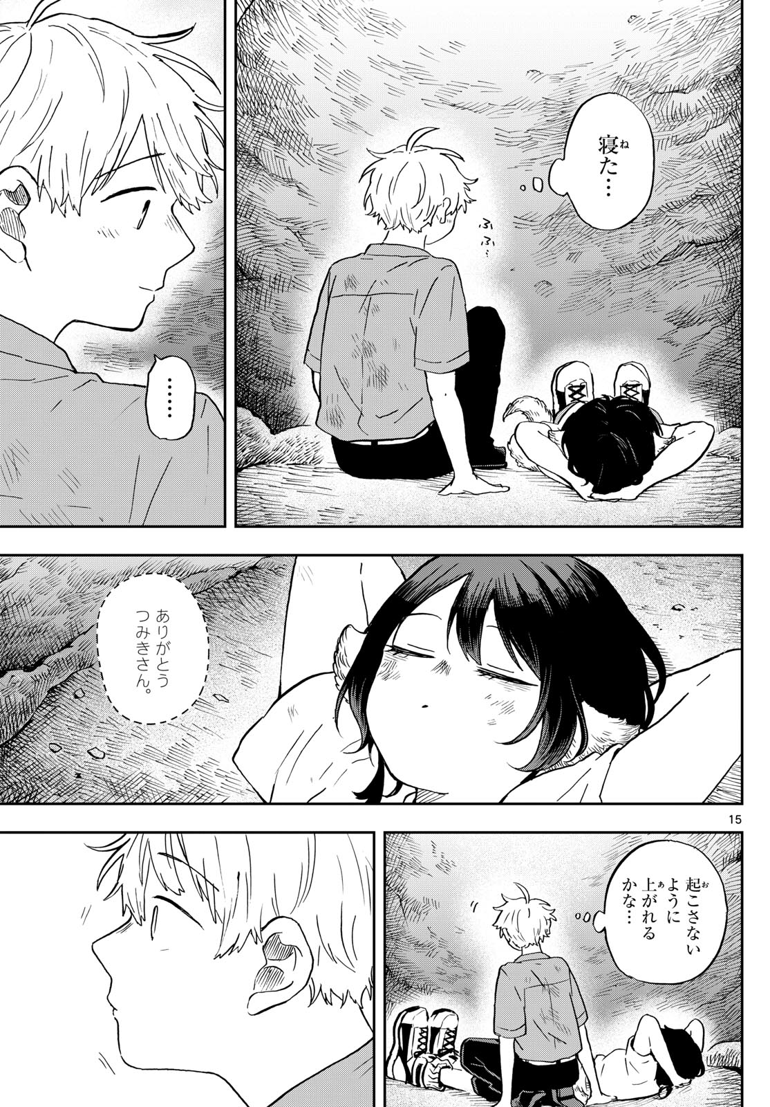 Page 15