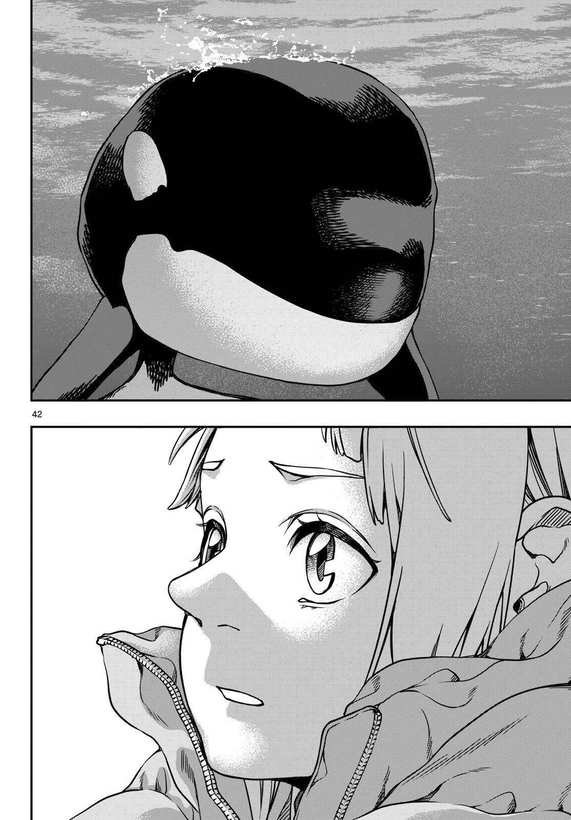 Page 42