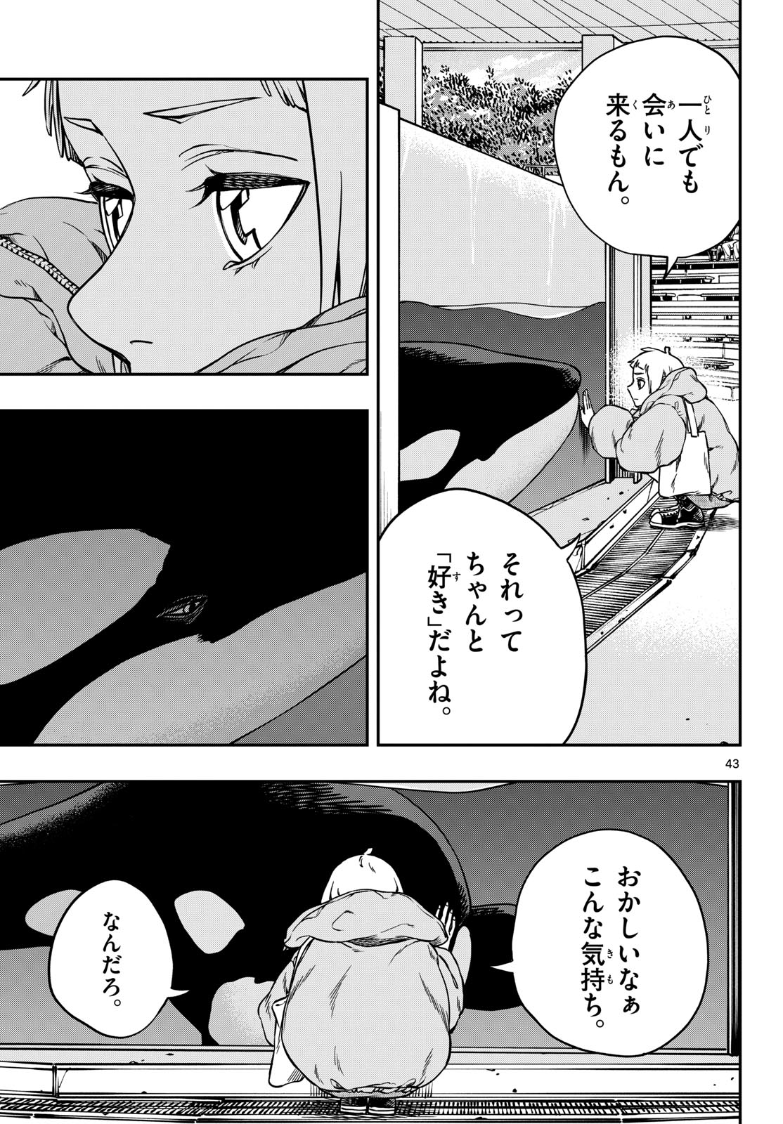 Page 43