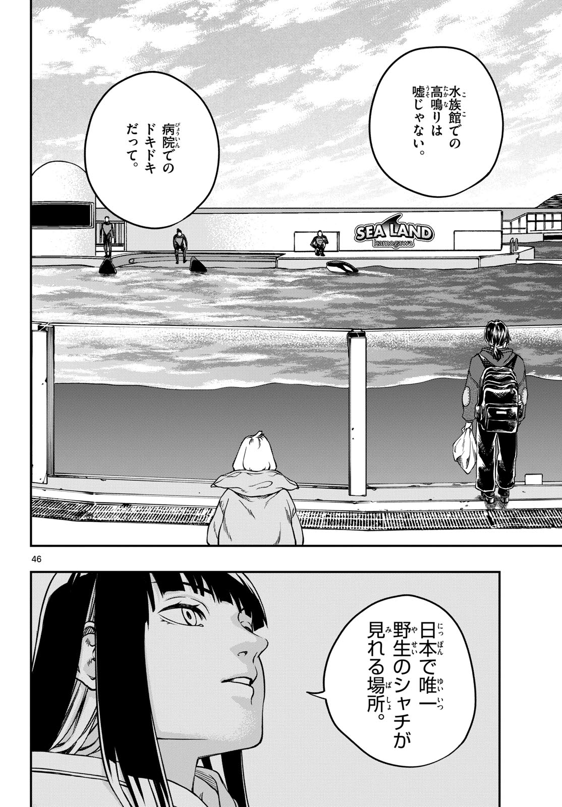 Page 46