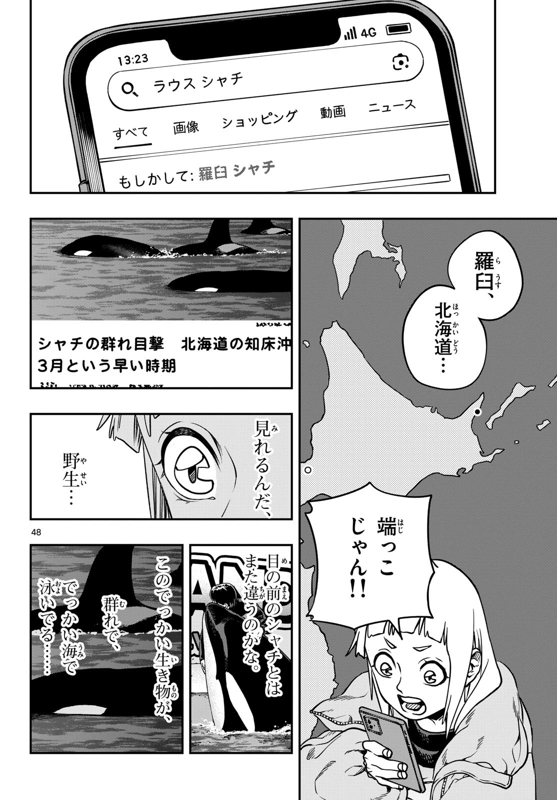 Page 48