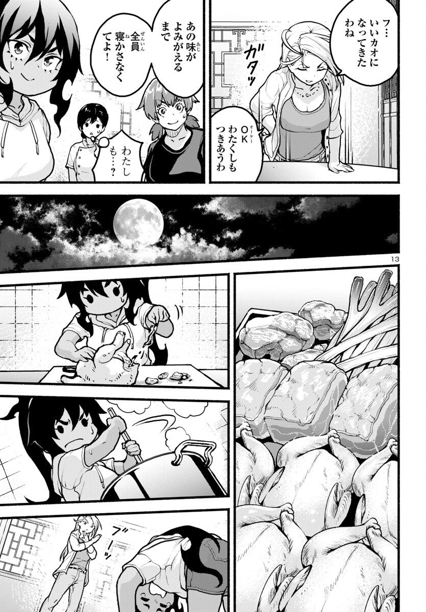Page 13
