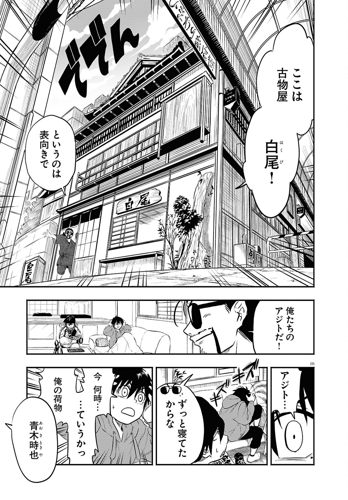 Page 5