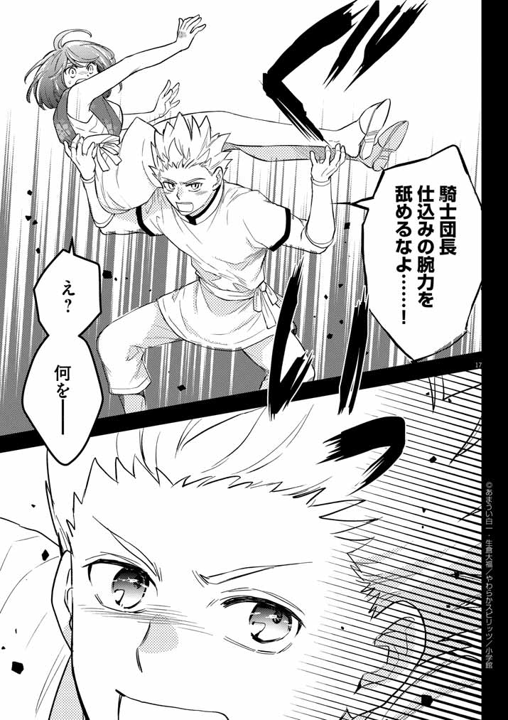 Page 17