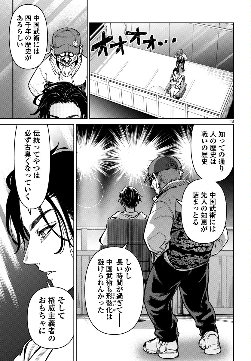 Page 13
