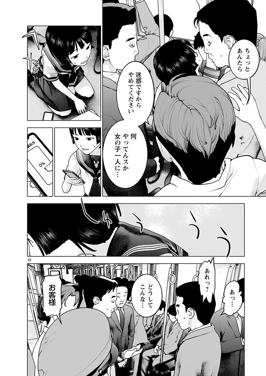Page 22