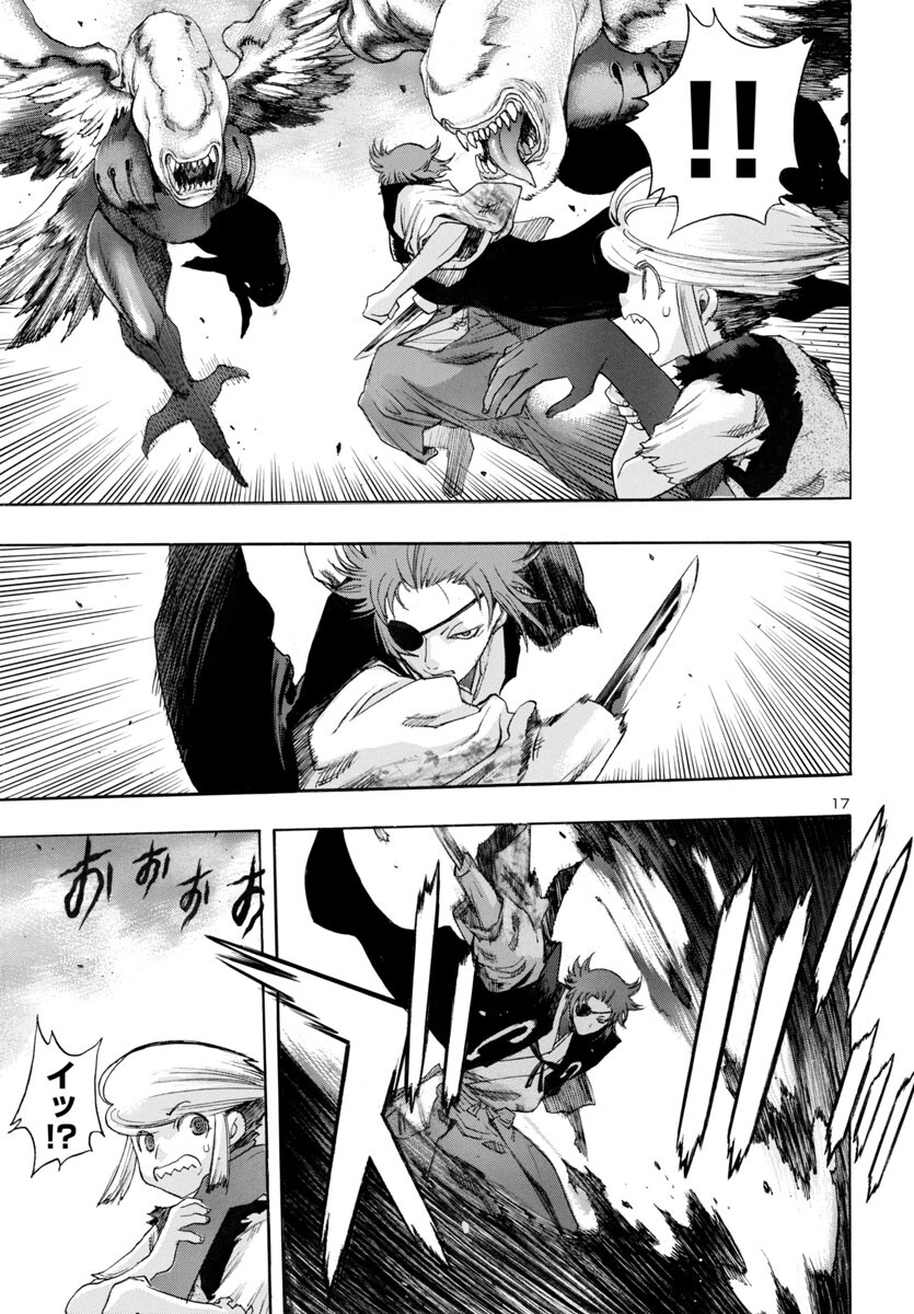 Page 17