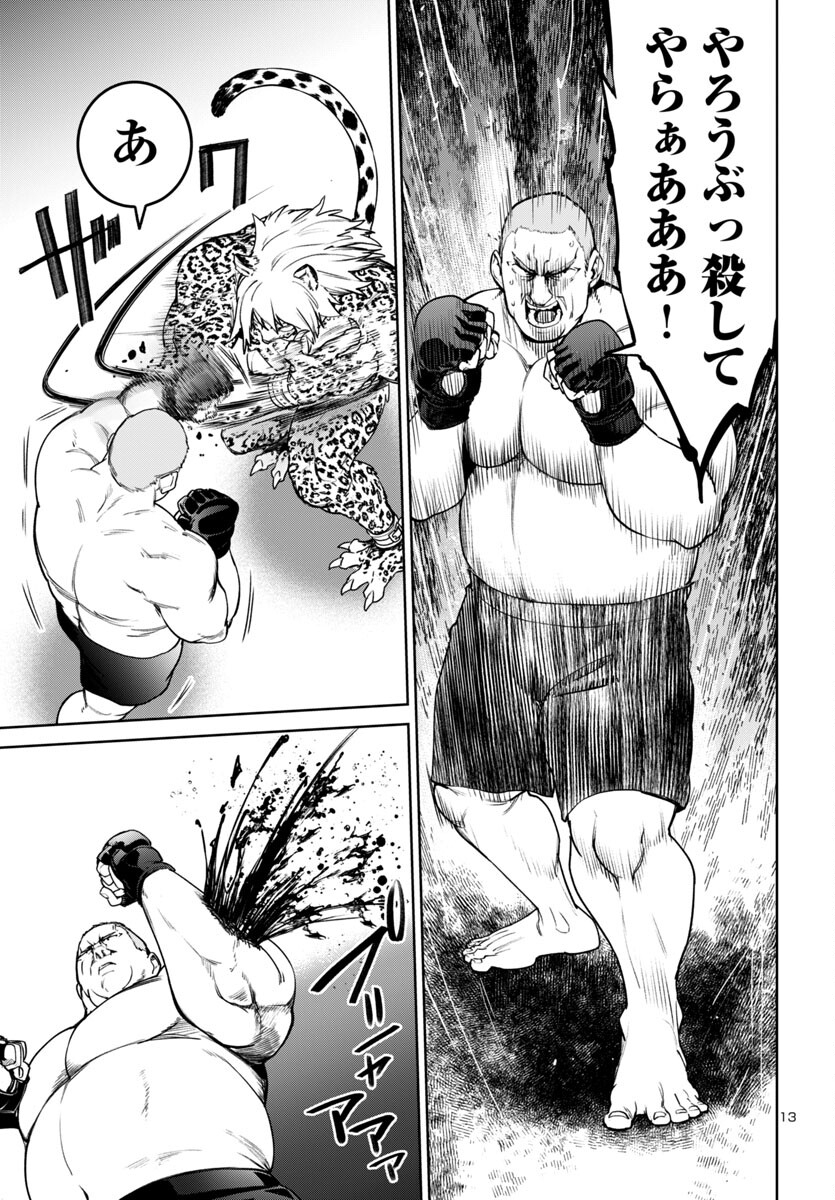 Page 13