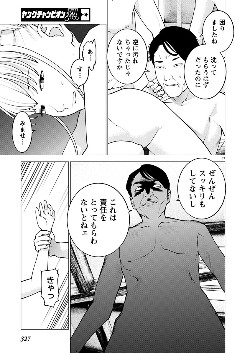 Page 17
