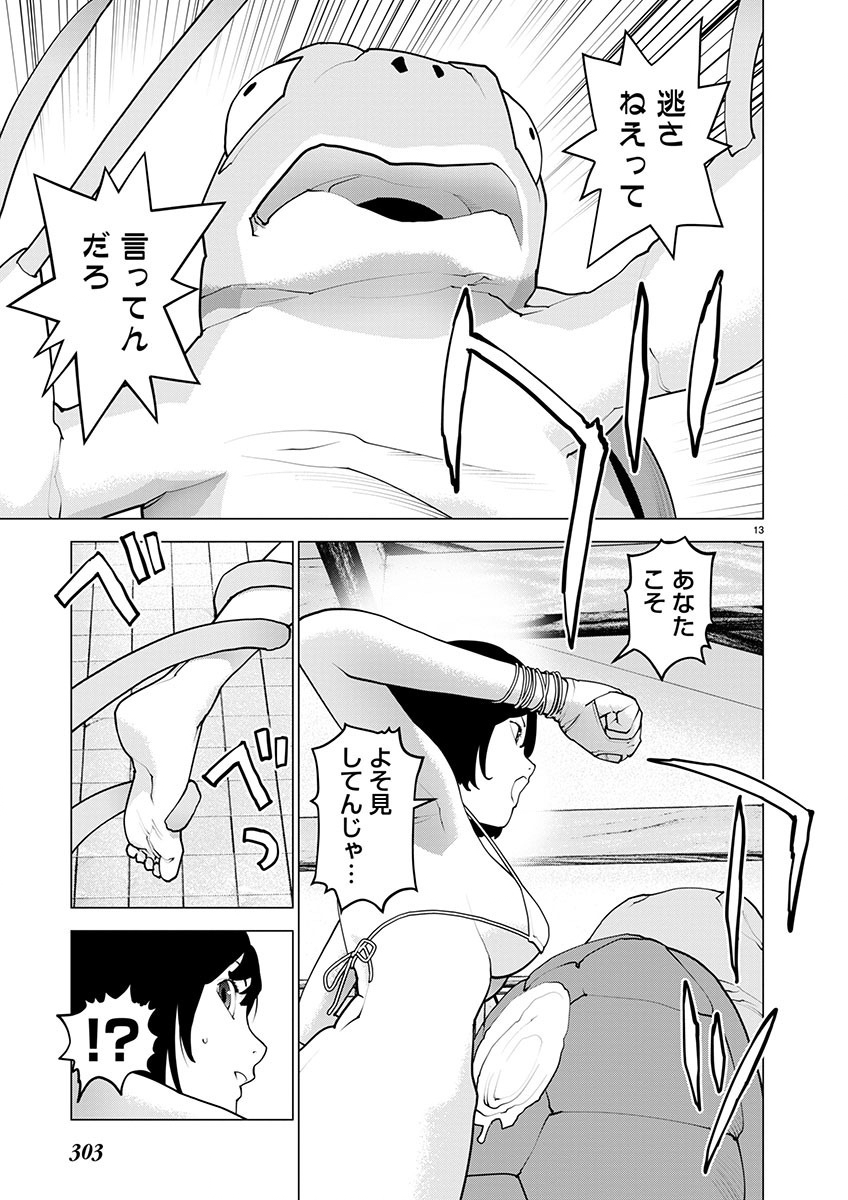 Page 13