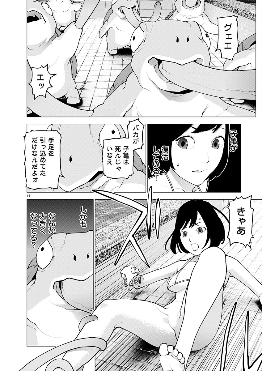 Page 14