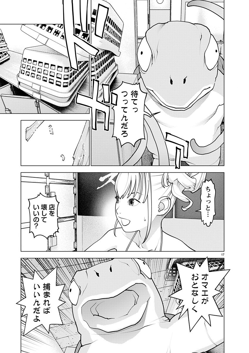 Page 17