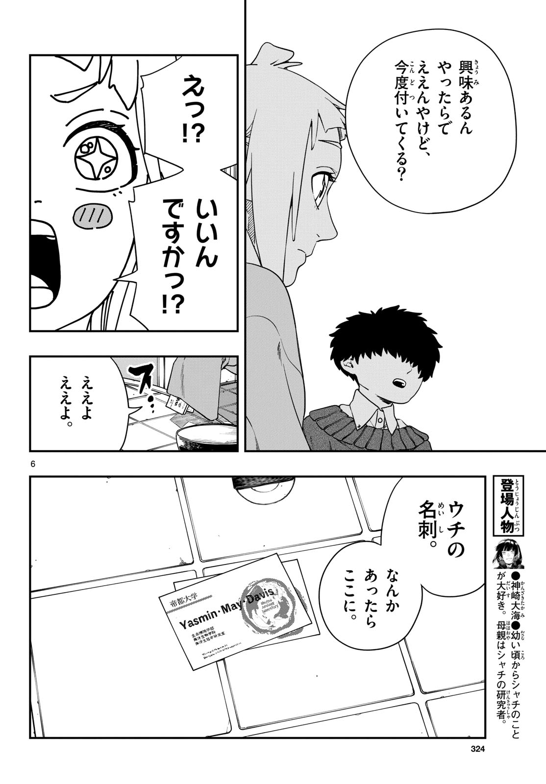 Page 6