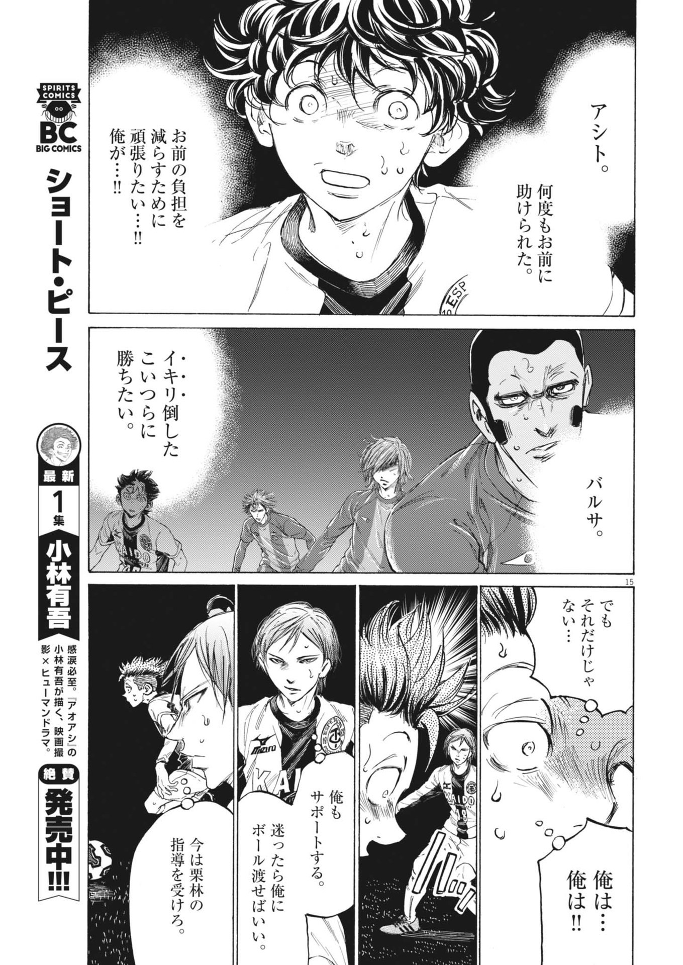 Page 15