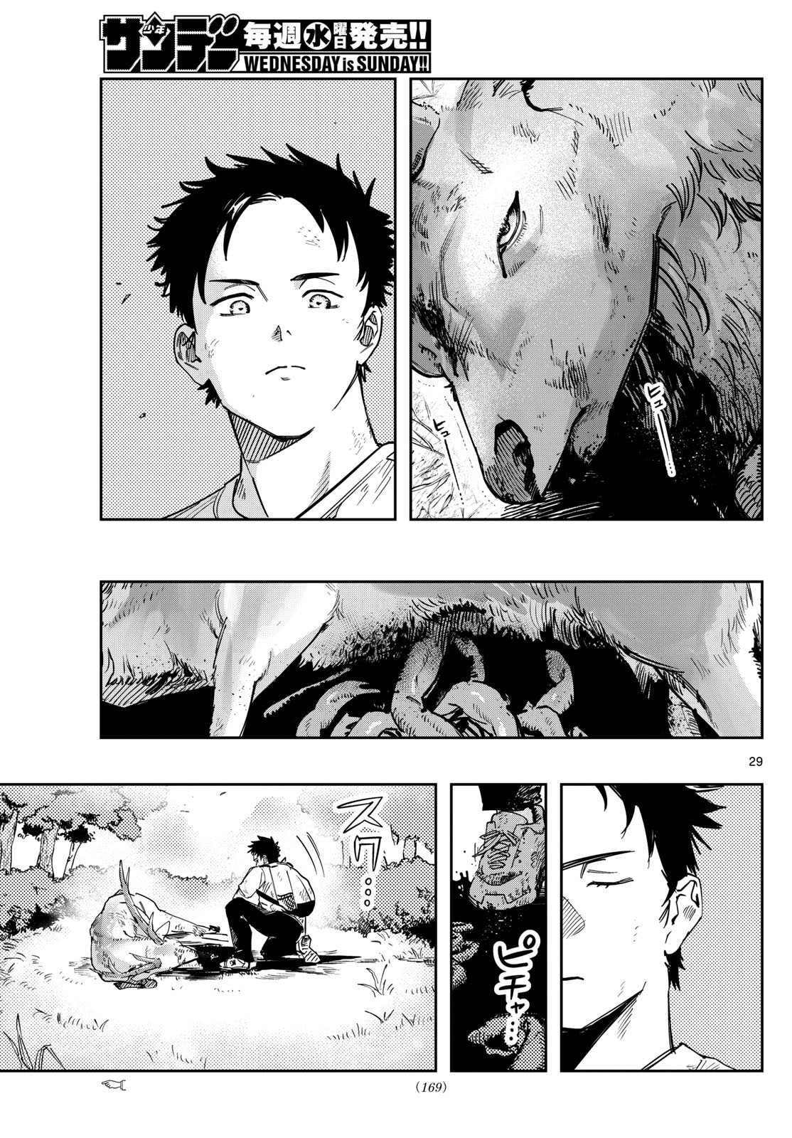 Page 29