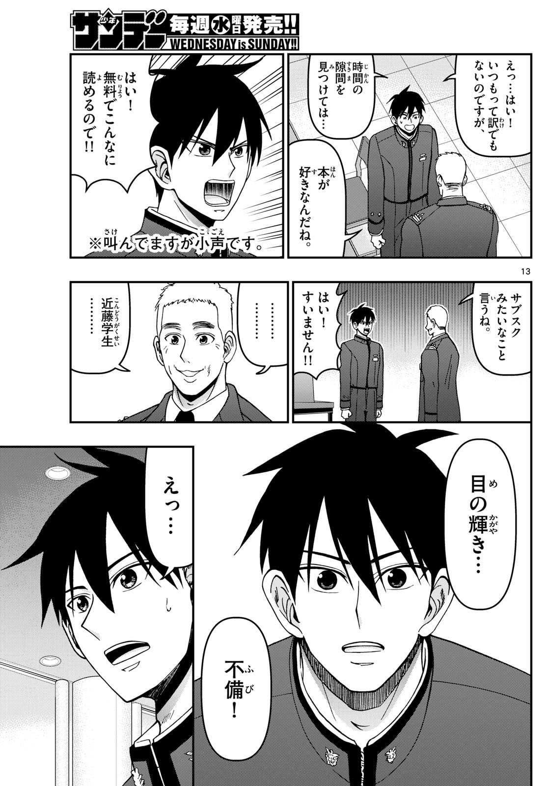 Page 13