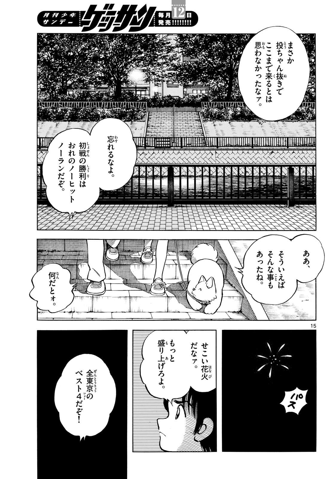 Page 15