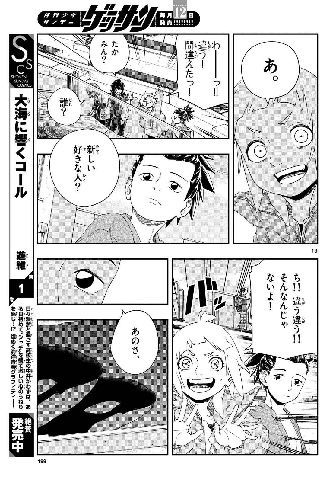 Page 13