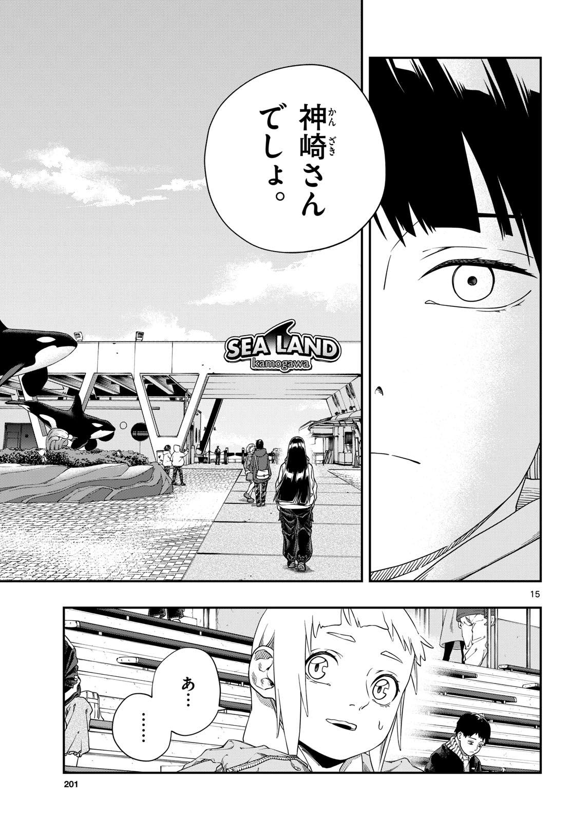 Page 15