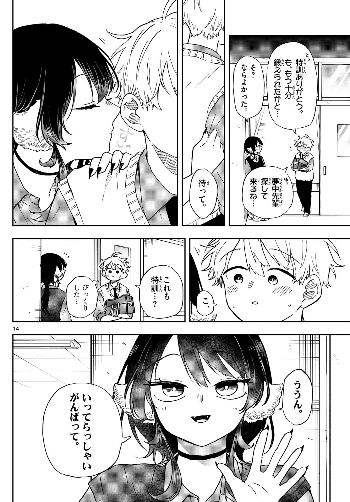 Page 14