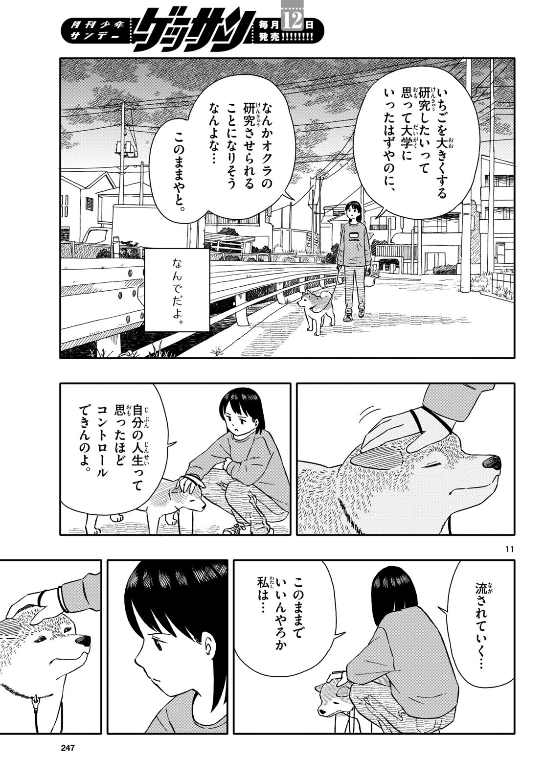 Page 11