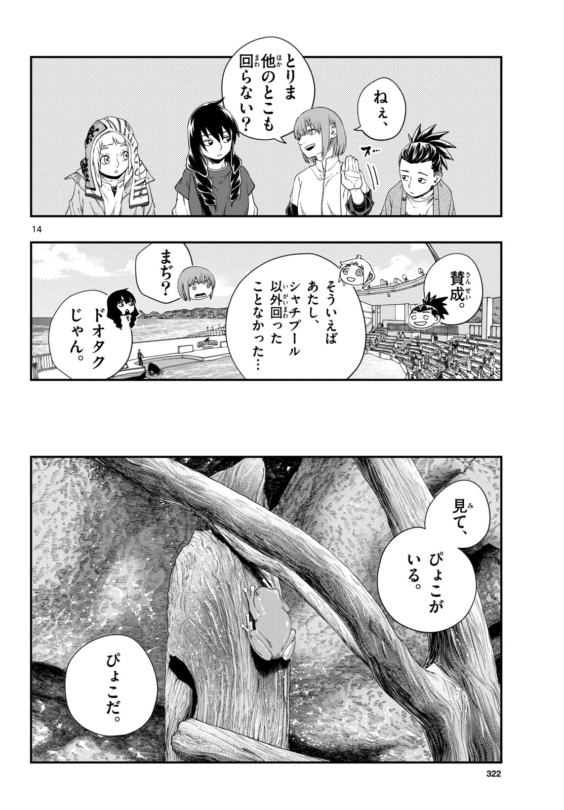 Page 14