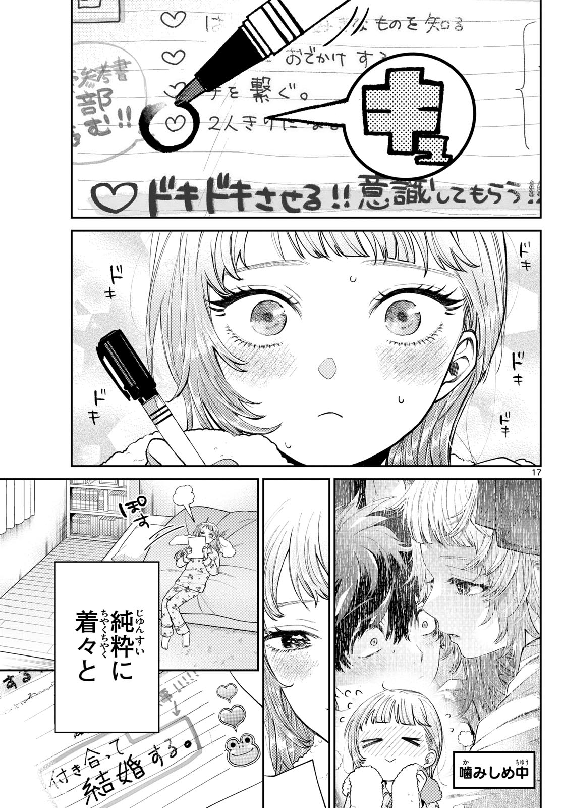 Page 17
