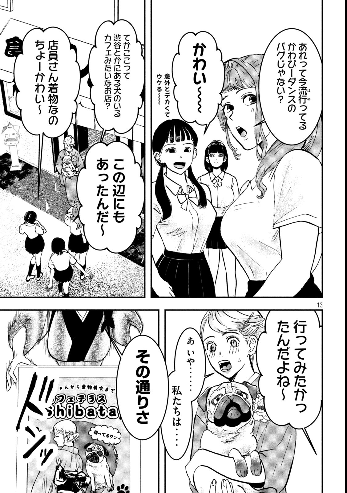 Page 13
