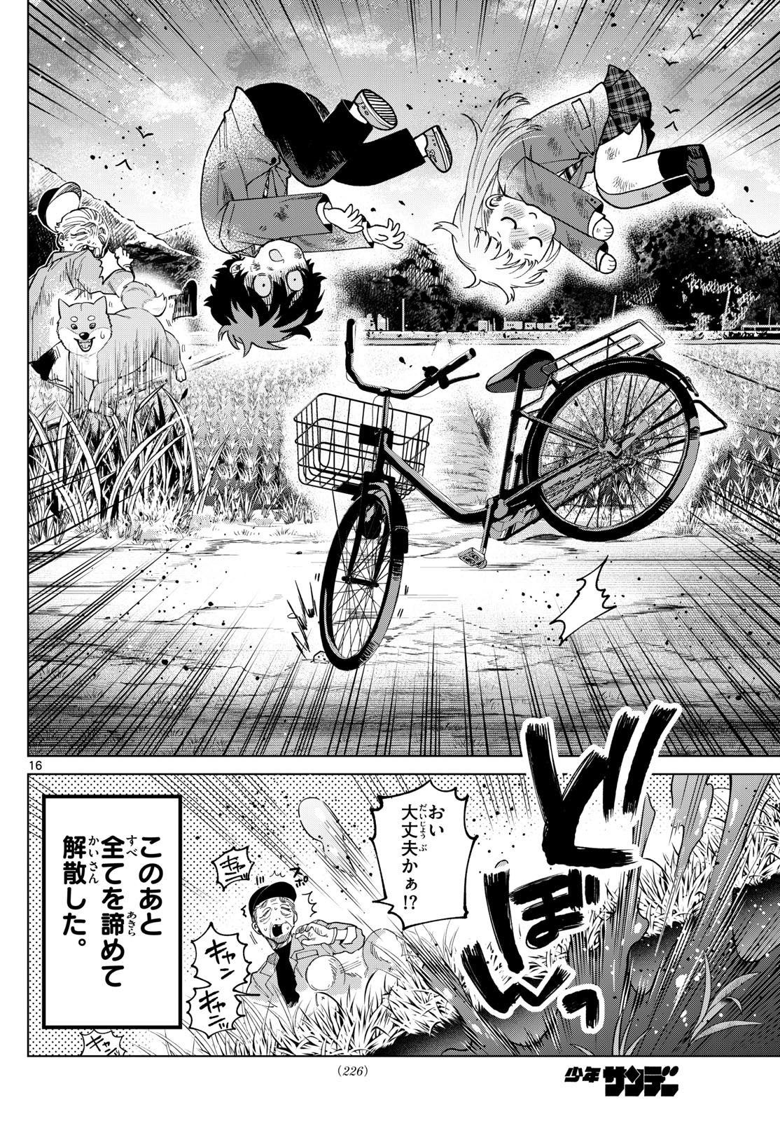 Page 16