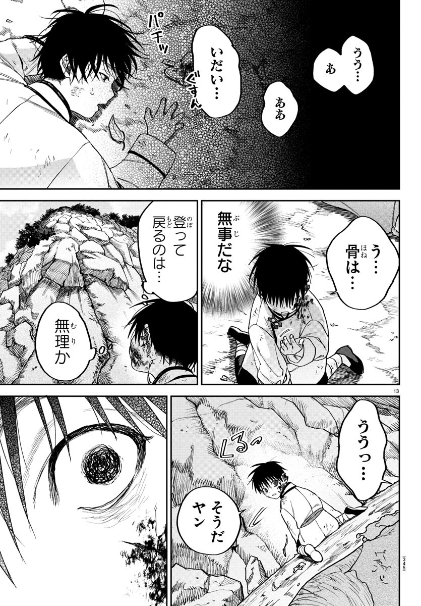 Page 13
