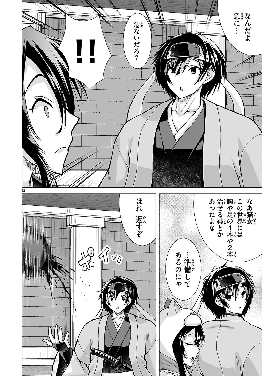 Page 12