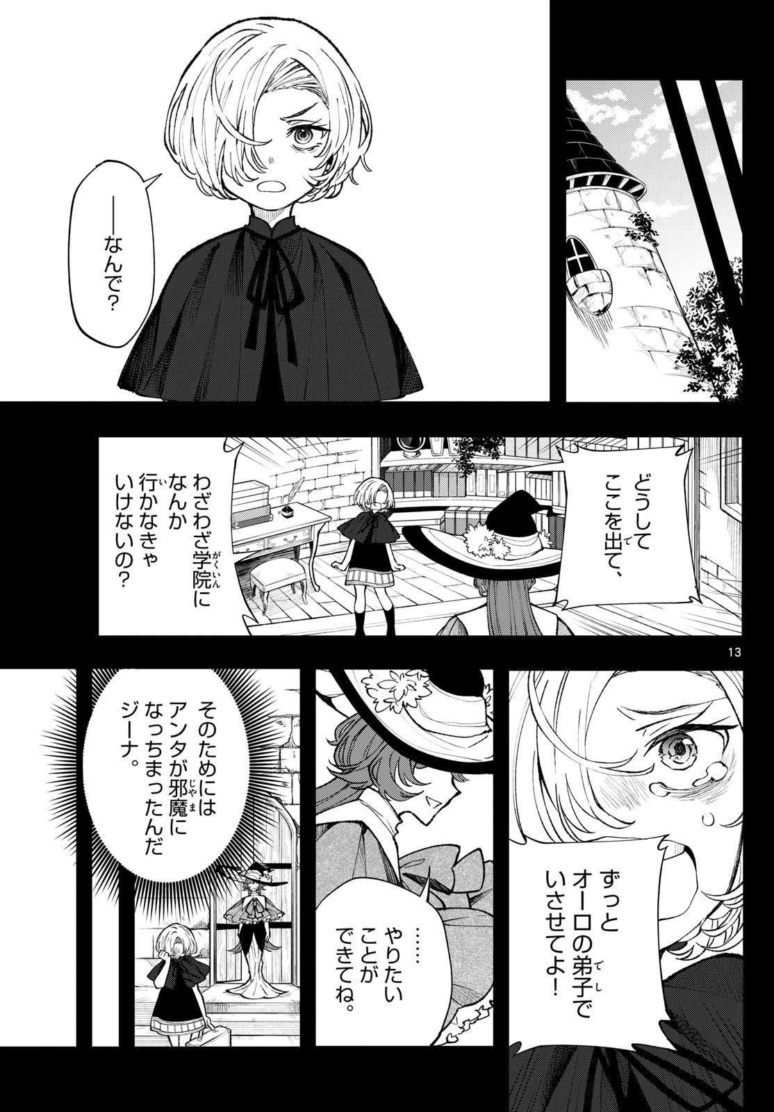 Page 13
