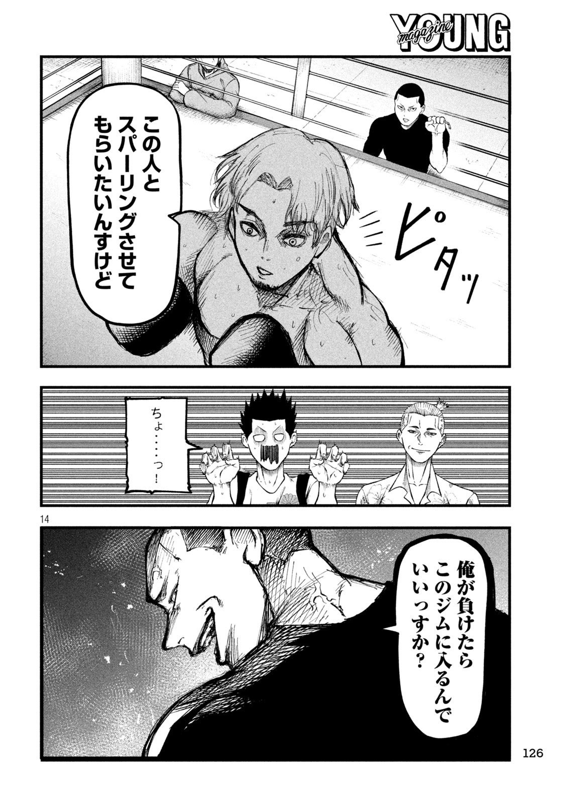 Page 14